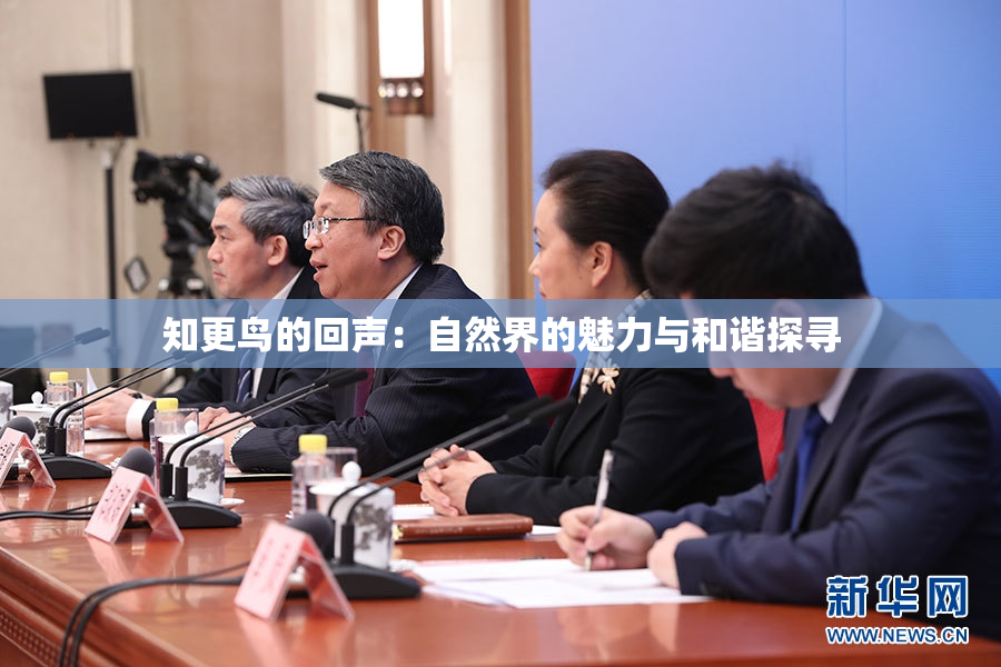 知更鸟的回声：自然界的魅力与和谐探寻
