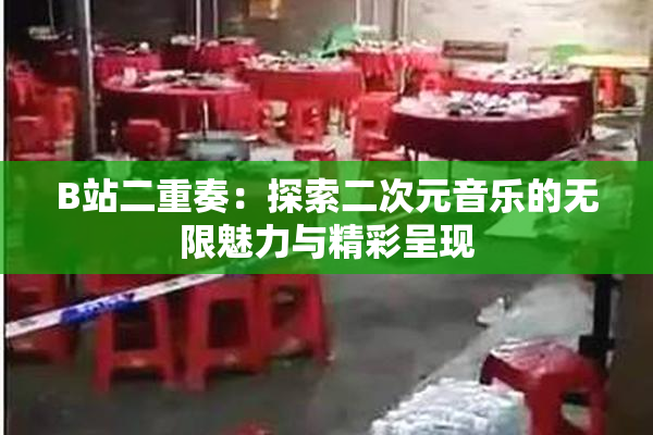 B站二重奏：探索二次元音乐的无限魅力与精彩呈现