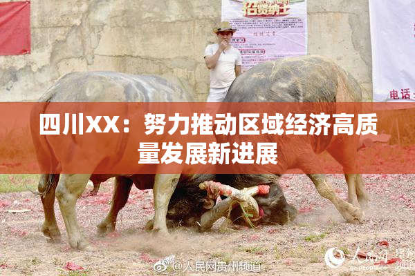 四川XX：努力推动区域经济高质量发展新进展