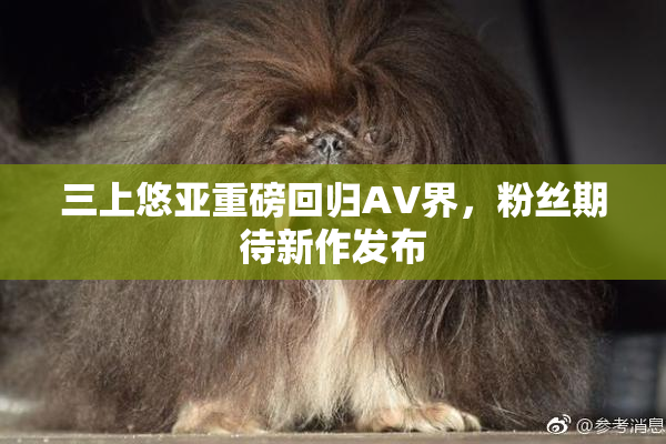 三上悠亚重磅回归AV界，粉丝期待新作发布