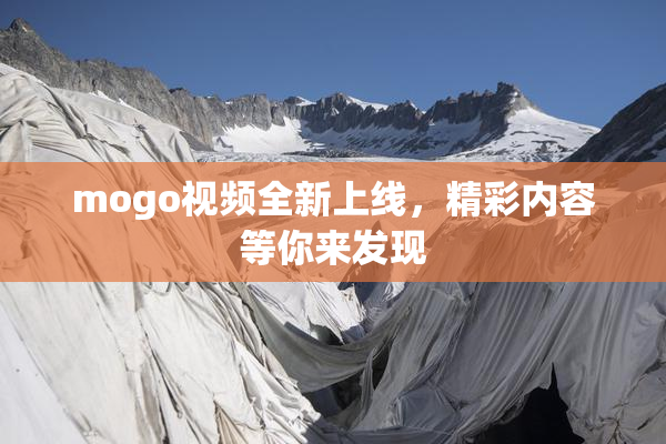mogo视频全新上线，精彩内容等你来发现