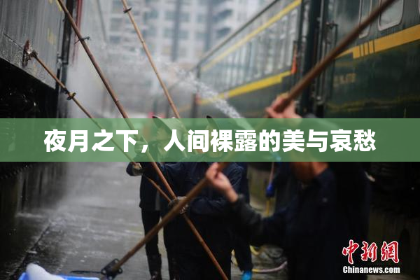 夜月之下，人间裸露的美与哀愁