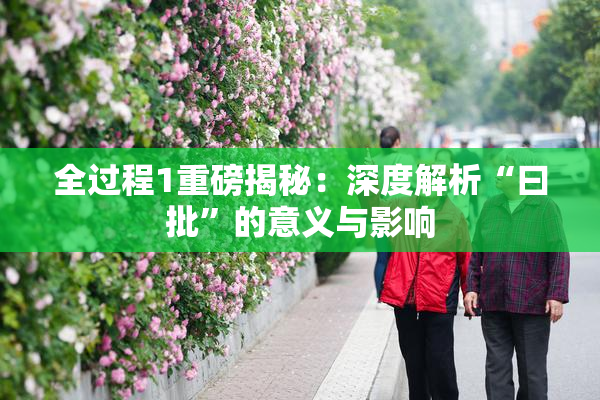 全过程1重磅揭秘：深度解析“曰批”的意义与影响