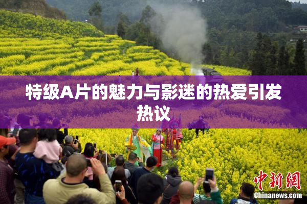 特级A片的魅力与影迷的热爱引发热议