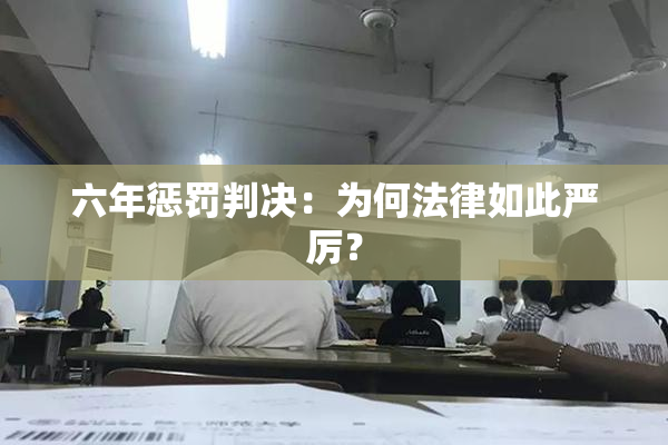 六年惩罚判决：为何法律如此严厉？