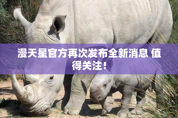 漫天星官方再次发布全新消息 值得关注！