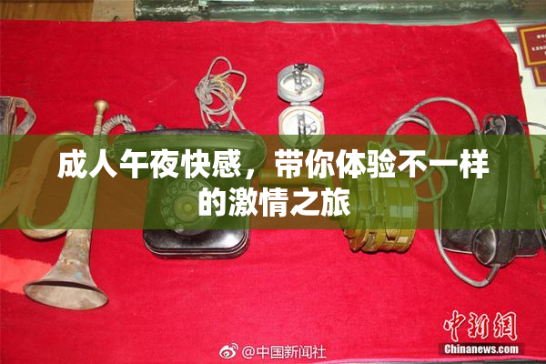 成人午夜快感，带你体验不一样的激情之旅