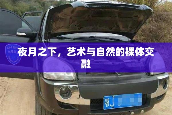 夜月之下，艺术与自然的裸体交融