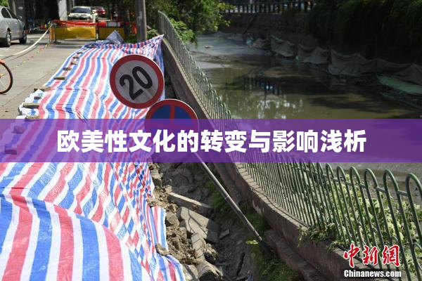 欧美性文化的转变与影响浅析