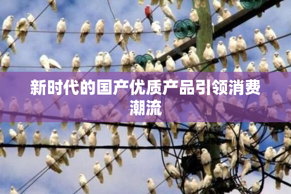 新时代的国产优质产品引领消费潮流