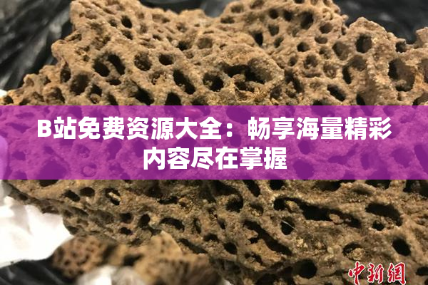 B站免费资源大全：畅享海量精彩内容尽在掌握
