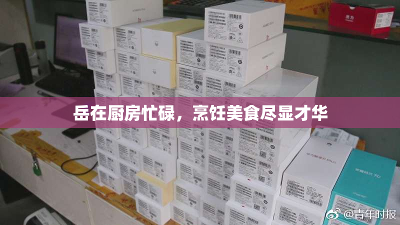 岳在厨房忙碌，烹饪美食尽显才华