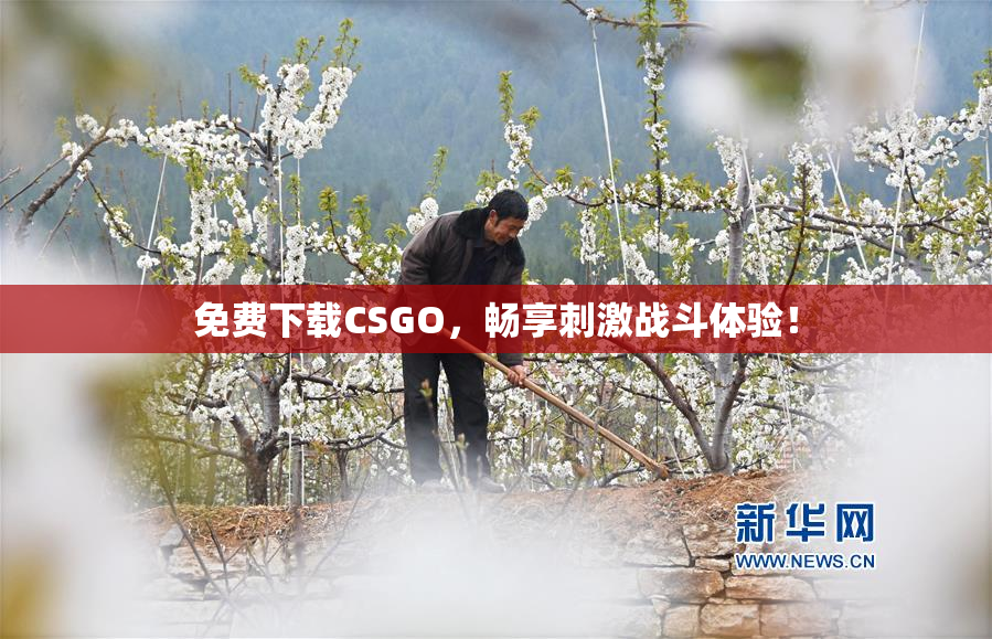 免费下载CSGO，畅享刺激战斗体验！