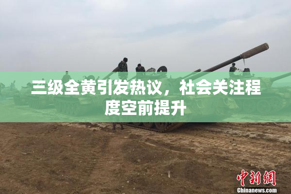 三级全黄引发热议，社会关注程度空前提升