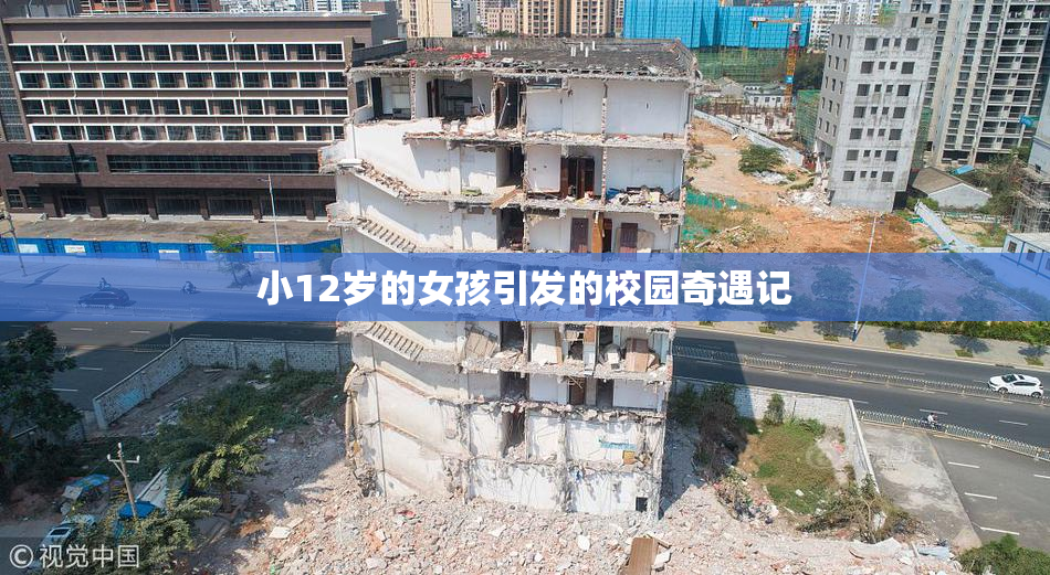 小12岁的女孩引发的校园奇遇记