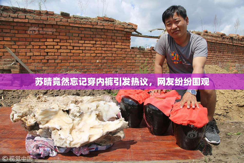 苏晴竟然忘记穿内裤引发热议，网友纷纷围观