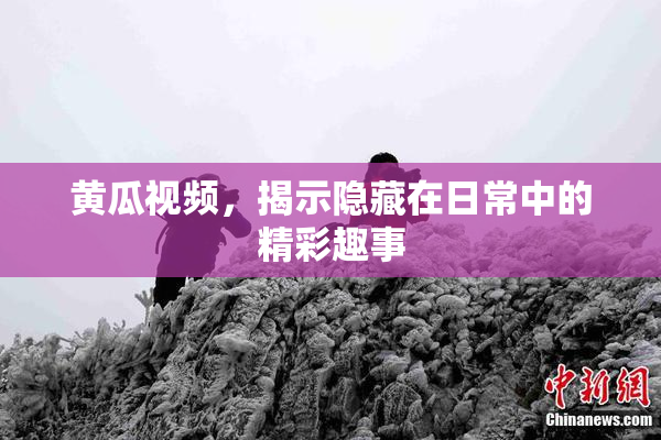 黄瓜视频，揭示隐藏在日常中的精彩趣事