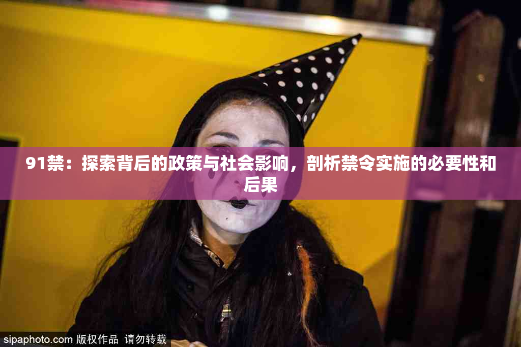 91禁：探索背后的政策与社会影响，剖析禁令实施的必要性和后果