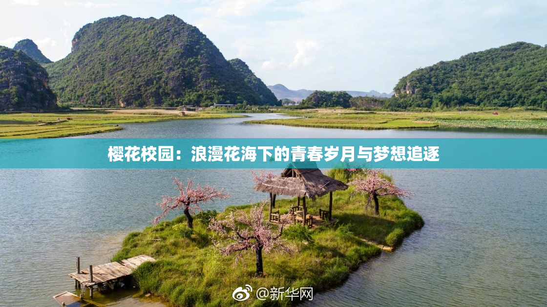 樱花校园：浪漫花海下的青春岁月与梦想追逐