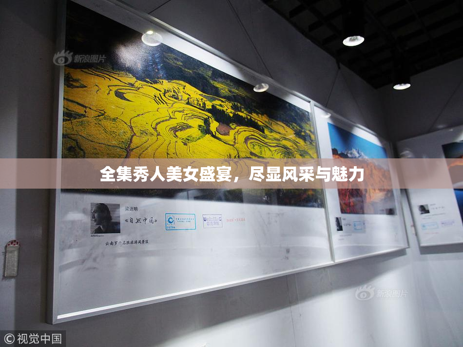 全集秀人美女盛宴，尽显风采与魅力