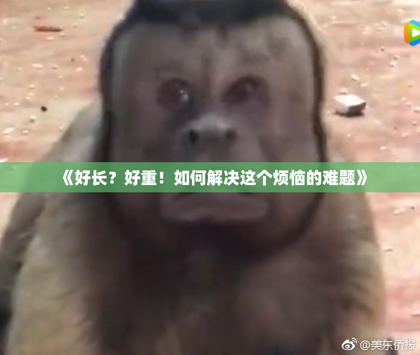 《好长？好重！如何解决这个烦恼的难题》