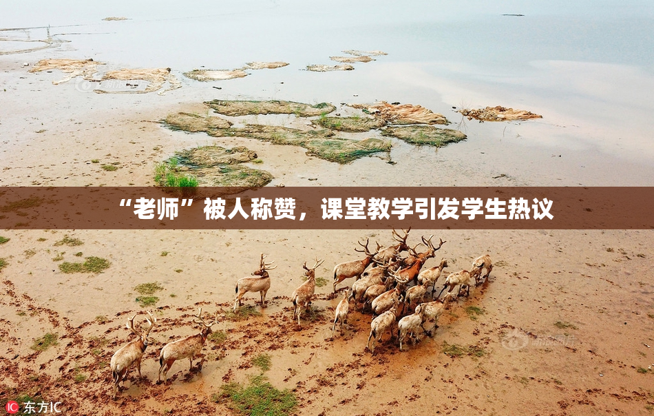“老师”被人称赞，课堂教学引发学生热议
