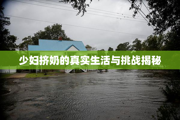 少妇挤奶的真实生活与挑战揭秘