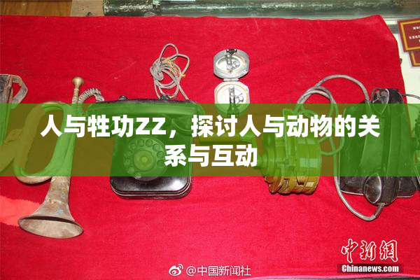 人与牲功ZZ，探讨人与动物的关系与互动