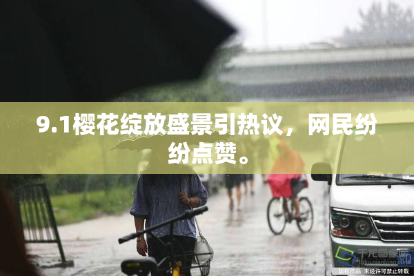 9.1樱花绽放盛景引热议，网民纷纷点赞。