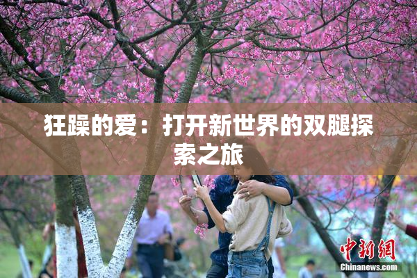 狂躁的爱：打开新世界的双腿探索之旅