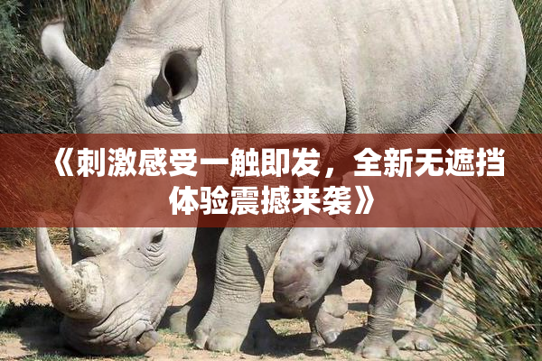 《刺激感受一触即发，全新无遮挡体验震撼来袭》
