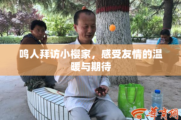 鸣人拜访小樱家，感受友情的温暖与期待