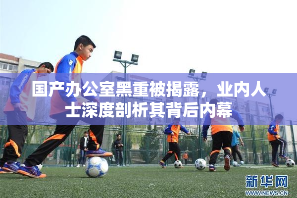 国产办公室黑重被揭露，业内人士深度剖析其背后内幕