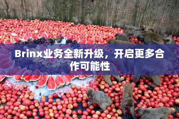 Brinx业务全新升级，开启更多合作可能性