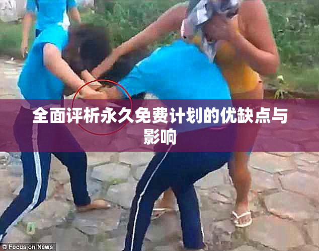 全面评析永久免费计划的优缺点与影响