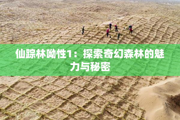仙踪林呦性1：探索奇幻森林的魅力与秘密