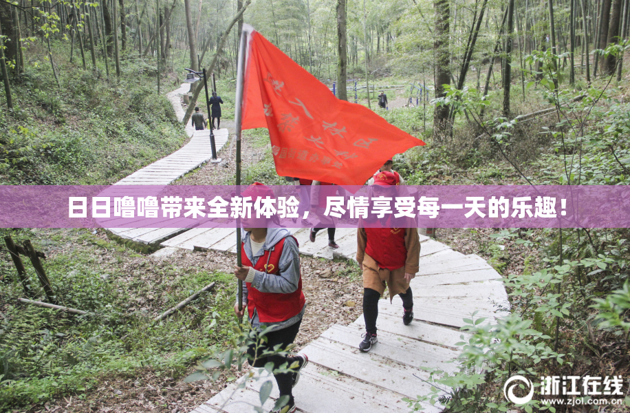 日日噜噜带来全新体验，尽情享受每一天的乐趣！