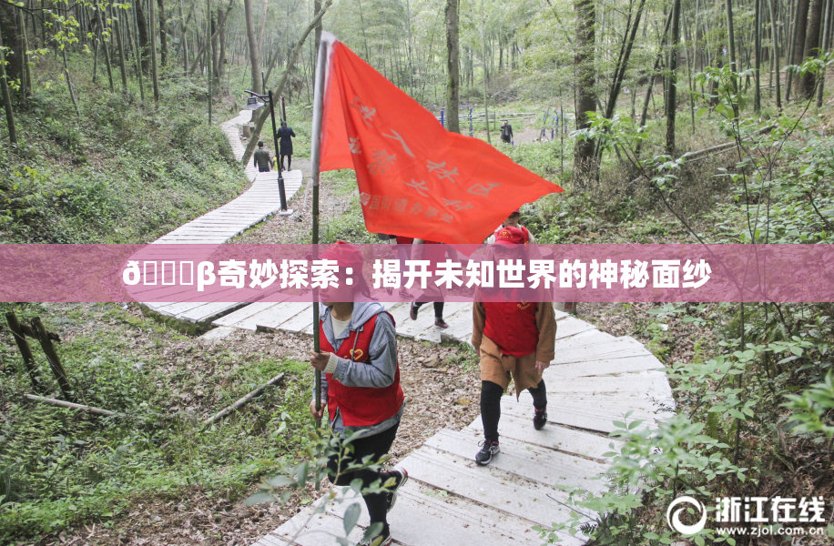 👙β奇妙探索：揭开未知世界的神秘面纱