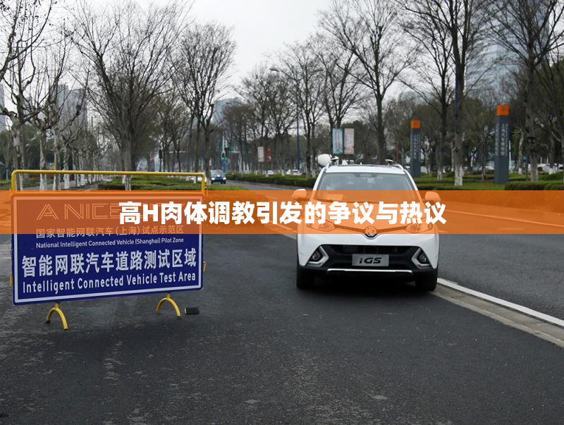 高H肉体调教引发的争议与热议