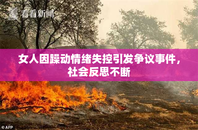 女人因躁动情绪失控引发争议事件，社会反思不断