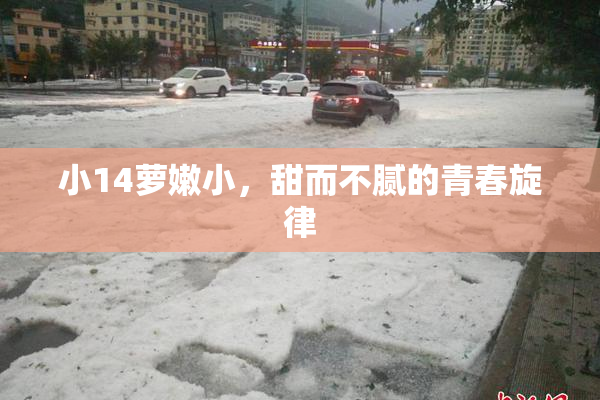 小14萝嫩小，甜而不腻的青春旋律