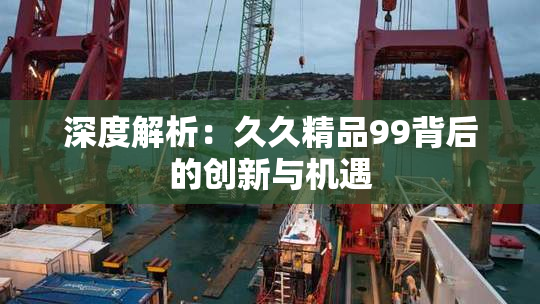 深度解析：久久精品99背后的创新与机遇