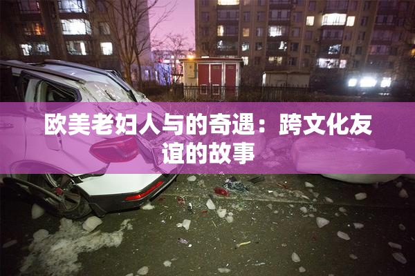 欧美老妇人与的奇遇：跨文化友谊的故事