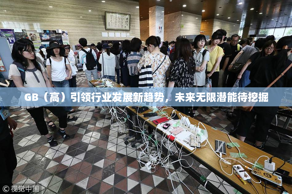 GB（高）引领行业发展新趋势，未来无限潜能待挖掘