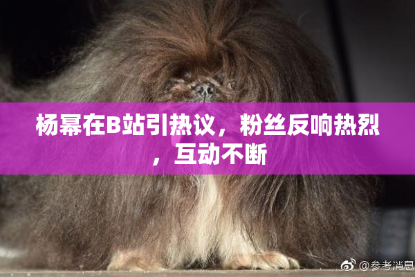 杨幂在B站引热议，粉丝反响热烈，互动不断