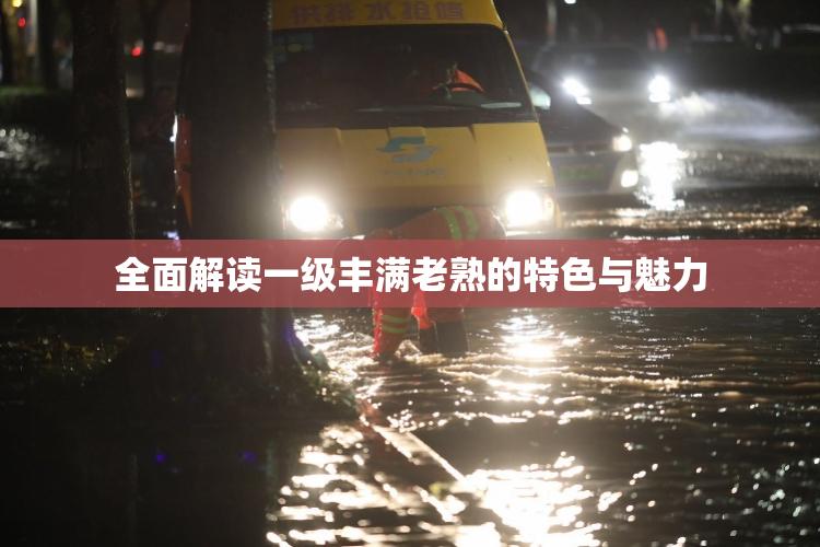 全面解读一级丰满老熟的特色与魅力
