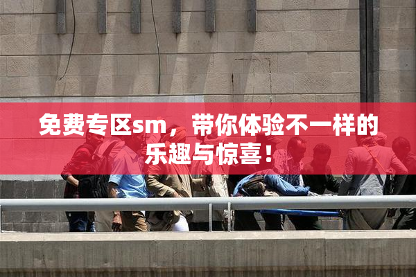 免费专区sm，带你体验不一样的乐趣与惊喜！
