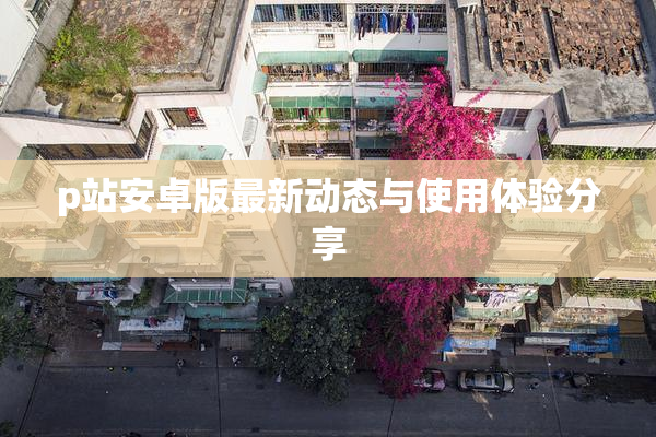p站安卓版最新动态与使用体验分享