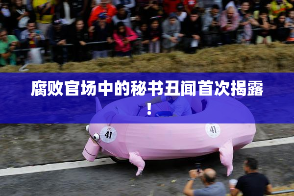 腐败官场中的秘书丑闻首次揭露！