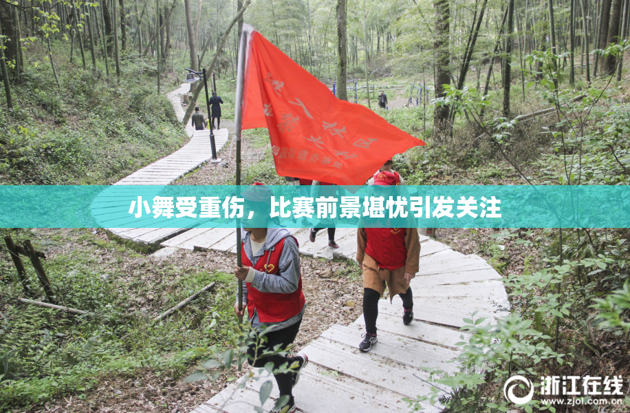 小舞受重伤，比赛前景堪忧引发关注